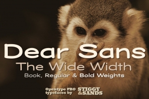 Dear Sans Wide Family Font Download