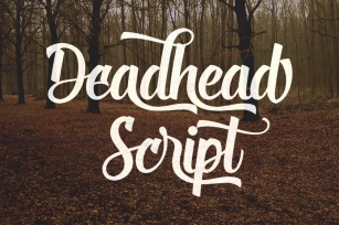 Deadhead Script Font Download