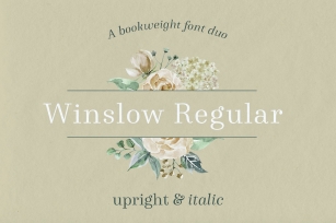 Winslow Book Regular Font Download