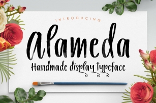 Alameda Typeface Font Download