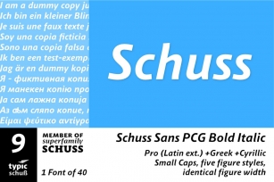 SchussSansPCGBoldIta No.09 (1) Font Download
