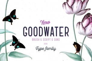 Goodwater font collection Font Download