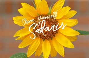 Solaris Font Download