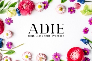 Adie High Class Serif 4 Family Font Download