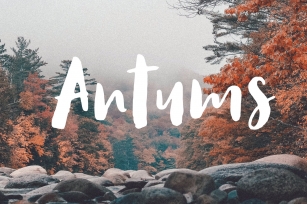 Antums Brush Font Download