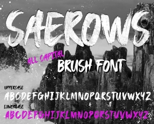SAEROWS Font Download