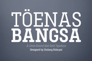 Toenas Bangsa Family 50% OFF Font Download