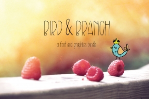 Bird  Branch/Graphics Bundle Font Download