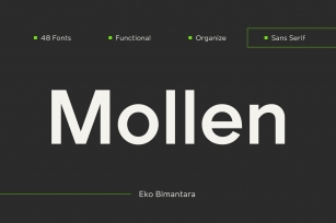 Mollen; 48 Geometric Family Font Download
