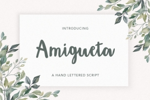 Amigueta Script Font Download
