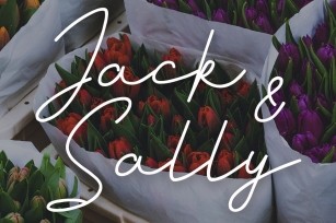 Jack And Sally Typeface Font Download