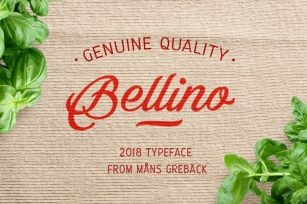 Bellino Font Download