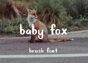 Baby Fox brush font Font Download