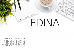 Edina Sans Serif Minimal Pack Font Download