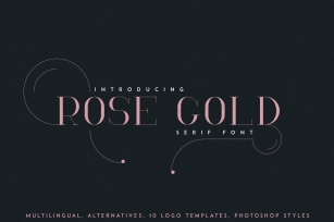 RoseGold Serif font + 10 Logos Font Download