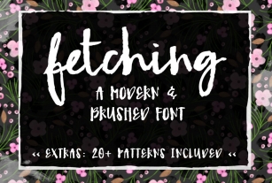 Fetching- A Modern Brush Font Download