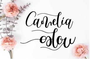 cameliaglow font Font Download
