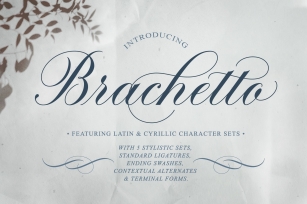 Brachetto Script Font Download