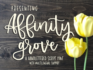 Affinity Grove Script Font Download