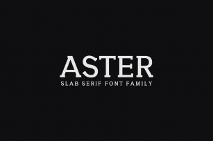 Aster Slab Serif 9 Family Pack Font Download