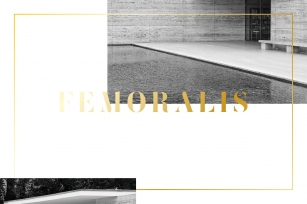Femoralis // elegant stencil font Font Download