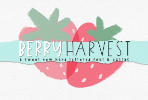 Berry Harvest  Extras Font Download