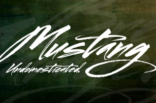 Mustang Font Download