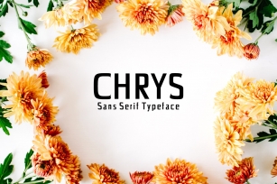 Chrys Sans Serif Family Pack Font Download