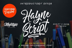 Hayne Script Clean  Rough Font Download