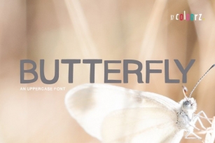 BUTTERFLY Font Download