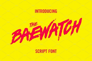 Baewatch Script Font Download