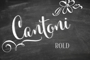 Cantoni Bold Hand Lettered Font Download