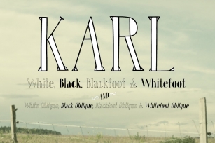 Karl Family Font Download