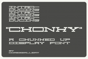 Chonky Font Download
