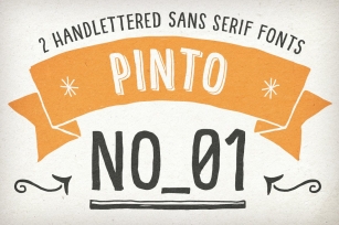 Hand Drawn Pinto NO_01 for Packaging Font Download