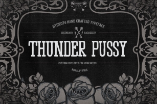 Thunder Pussy Font Download