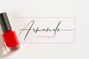 Armando 2 Styles Font Download