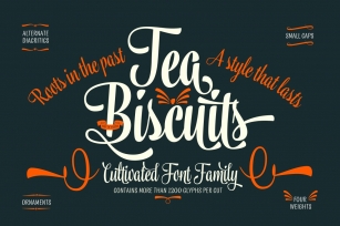Tea Biscuit -35% intro offer! Font Download