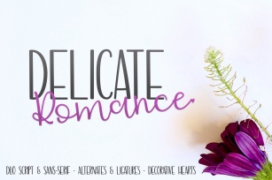 Delicate Romance Duo Font Download
