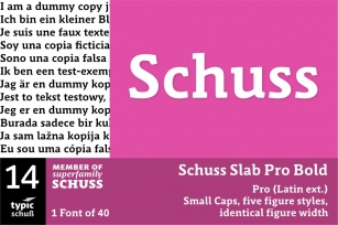 SchussSlabProBold No.14 (1) Font Download