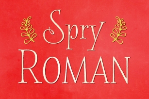 Spry Roman Pro Font Download