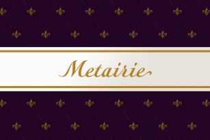 Metairie Font Download