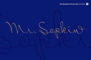 Mr SopkinPro Font Download