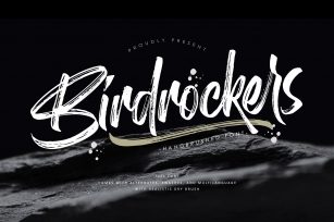 Birdrockers || Realistic Brush Font Download