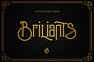Briliants + Bonus (introsale) Font Download