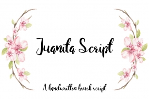 Juanita Brush Script Font Download