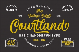 Courtland Handdrawn Font Download