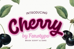 Cherry pack intro sale Font Download