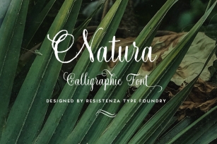 Natura Script Font Download