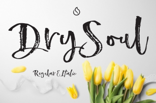 Dry Soul Script Font Download
